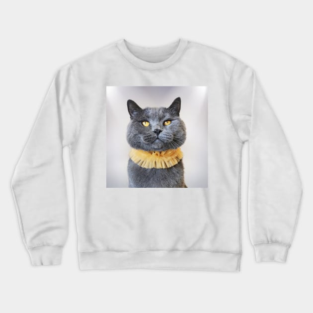 Morris The Cat - Feline Photo Crewneck Sweatshirt by Marian Voicu